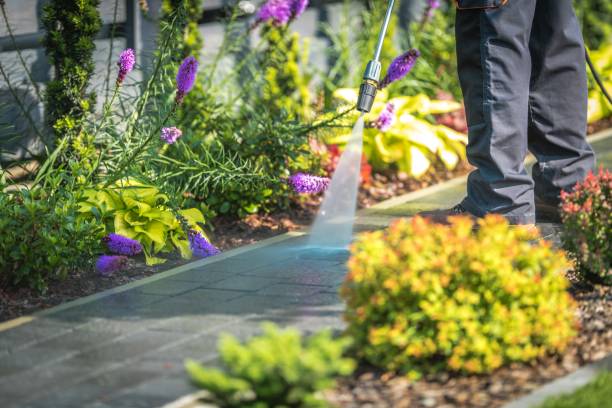 Best House Exterior Washing  in South Blooming Grove, NY