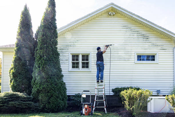 Best Patio and Deck Pressure Washing  in South Blooming Grove, NY